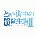 とある街中の危険生物Ⅱ（トラネコ）