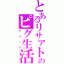 とあるリサアトのピグ生活（アメーバ）