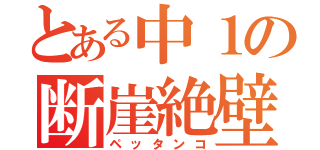 とある中１の断崖絶壁（ペッタンコ）