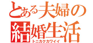 とある夫婦の結婚生活（トニカクカワイイ）