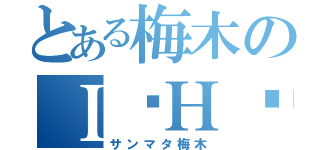 とある梅木のＩ•Ｈ•Ｆ（サンマタ梅木）