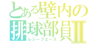 とある壁内の排球部員Ⅱ（レシーブエース）