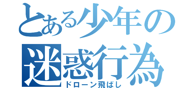 とある少年の迷惑行為（ドローン飛ばし）