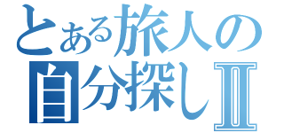 とある旅人の自分探しⅡ（）