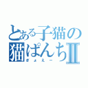 とある子猫の猫ぱんちⅡ（ぎょえー）