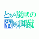 とある嵐獣の渦風脚蹴（トルネイド）