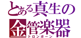 とある真生の金管楽器（トロンボーン）