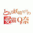 とある妖精尾巴の愛猫Ｑ奈（喵愛）