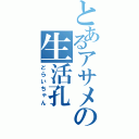 とあるアサメの生活孔（どらいちゃん）