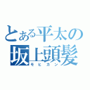 とある平太の坂上頭髪（モヒカン）