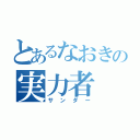 とあるなおきの実力者（サンダー）