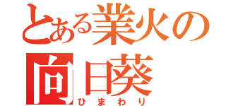 とある業火の向日葵（ひまわり）