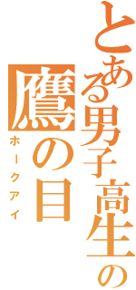 とある男子高生の鷹の目（ホークアイ）