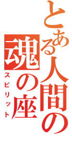 とある人間の魂の座（スピリット）