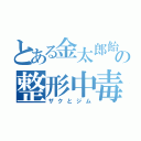 とある金太郎飴の整形中毒（ザクとジム）