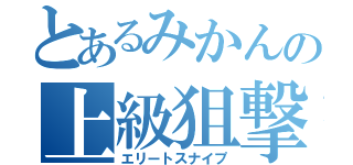 とあるみかんの上級狙撃（エリートスナイプ）