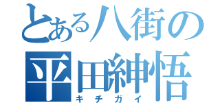 とある八街の平田紳悟（キチガイ）