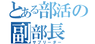 とある部活の副部長（サブリーダー）