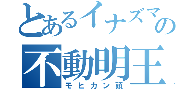 とあるイナズマジャパンの不動明王（モヒカン頭）