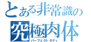 とある非常識の究極肉体（パーフェクトボディ）