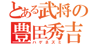 とある武将の豊臣秀吉（ハゲネズミ）