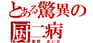 とある驚異の厨二病（東野 あいか）