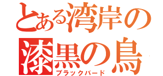 とある湾岸の漆黒の鳥（ブラックバード）