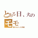 とある日、犬のモモ（届かなかった手紙）