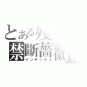 とある殘花の禁斷薔薇Ⅱ（インデックス）