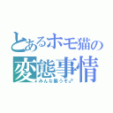 とあるホモ猫の変態事情（みんな襲うぞ♂）