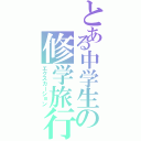 とある中学生の修学旅行（エクスカーション）