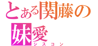 とある関藤の妹愛（シスコン）