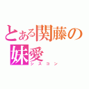 とある関藤の妹愛（シスコン）