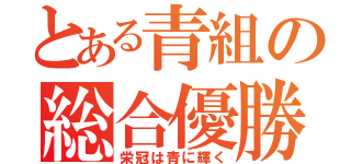 とある青組の総合優勝（栄冠は青に輝く）