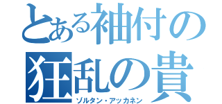 とある袖付の狂乱の貴公子（ゾルタン・アッカネン）