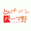 とあるチリチリのパーマ野郎（しょっちゃん）