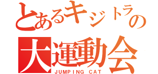 とあるキジトラの大運動会（ＪＵＭＰＩＮＧ ＣＡＴ）