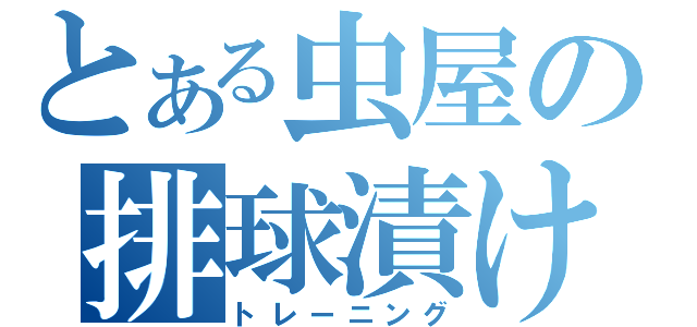 とある虫屋の排球漬け（トレーニング）