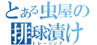 とある虫屋の排球漬け（トレーニング）