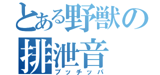 とある野獣の排泄音（ブッチッパ）