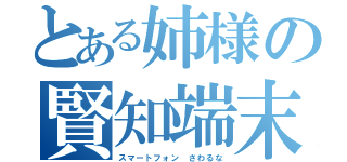 とある姉様の賢知端末（スマートフォン　さわるな）