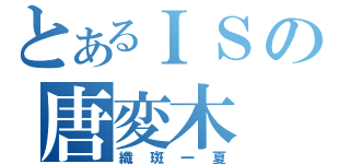 とあるＩＳの唐変木（織斑一夏）