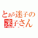 とある迷子の迷子さん（めいこ）