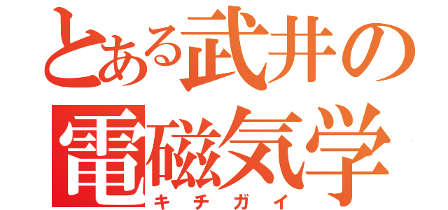 とある武井の電磁気学（キチガイ）