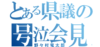 とある県議の号泣会見（野々村竜太郎）