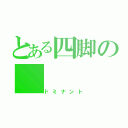 とある四脚の（ドミナント）