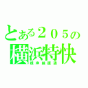 とある２０５の横浜特快（根岸線直通）