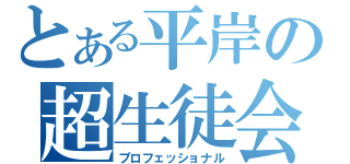 とある平岸の超生徒会（プロフェッショナル）