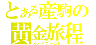 とある産駒の黄金旅程（ステイゴールド）