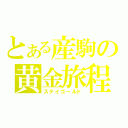 とある産駒の黄金旅程（ステイゴールド）